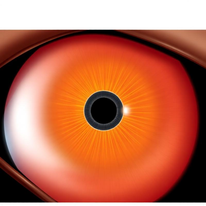 Illustrazione della macula con la fovea centrale e gli strati di fotorecettori sottostanti